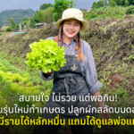สบายใจ ไม่รวย แต่พอกิน! คนรุ่นใหม่ทำเกษตร ปลูกผักสลัดบนดอย มีรายได้หลักหมื่น