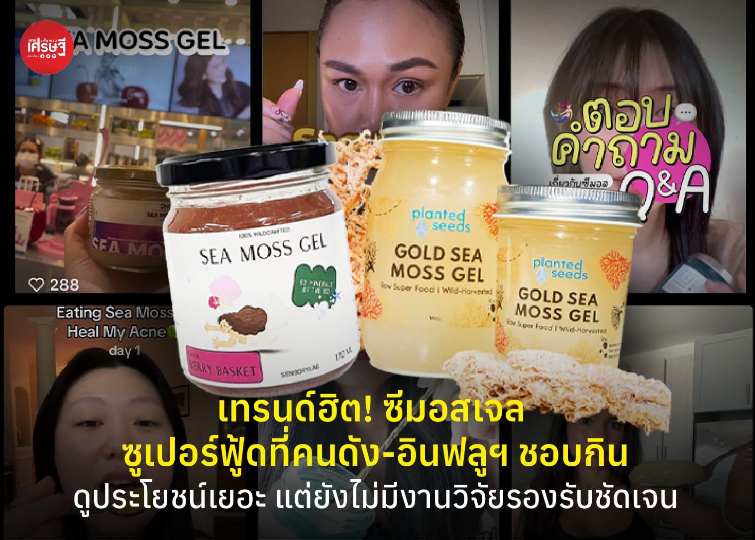 เทรนด์ฮิต! ซีมอสเจล ซูเปอร์ฟู้ดที่คนดัง-อินฟลูฯ ชอบกิน ดูประโยชน์เยอะ แต่ยังไม่มีงานวิจัยรองรับชัดเจน