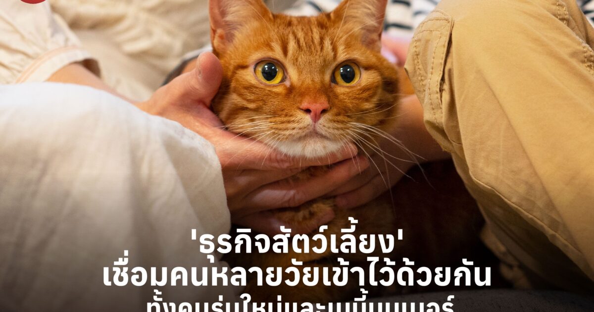 'ธุรกิจสัตว์เลี้ยง' เชื่อมคนหลายวัยเข้าไว้ด้วยกัน ทั้งคนรุ่นใหม่และเบบี้บูมเมอร์ เลี้ยงไว้ช่วยคลายเหงาและเสริมสุขภาพทางใจ