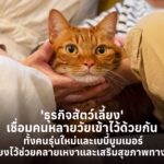 'ธุรกิจสัตว์เลี้ยง' เชื่อมคนหลายวัยเข้าไว้ด้วยกัน ทั้งคนรุ่นใหม่และเบบี้บูมเมอร์ เลี้ยงไว้ช่วยคลายเหงาและเสริมสุขภาพทางใจ