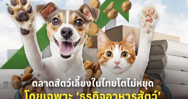 ตลาดสัตว์เลี้ยงในไทยโตไม่หยุด โดยเฉพาะ ‘ธุรกิจอาหารสัตว์’ ที่แข่งขันกันดุเดือด มีทาสแมวเพิ่มขึ้น 28%