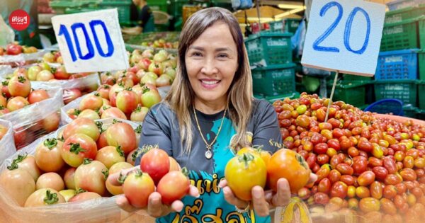 จากลูกจ้างในตลาดผัก สู่เจ้าของแผง 'ขายมะเขือเทศ' มีลูกค้าประจำ ทั้งร้านอาหารดัง  ซูเปอร์มาร์เก็ต ไปจนถึงสายการบิน ขายเฉลี่ยวันละ 500 ลัง 