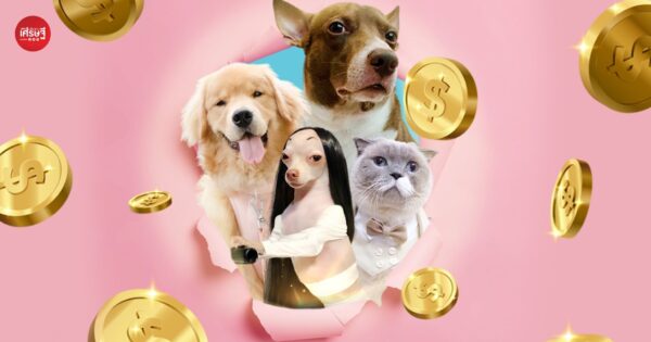 Petfluencer มาแรง! ไม่ใช่แค่น่ารัก แต่สามารถสร้างรายได้ให้เจ้าของ