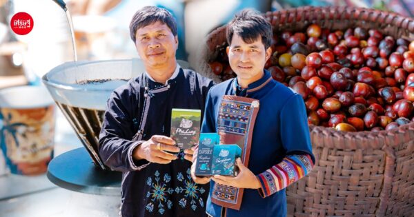 จากไร่บนดอย สู่ กาแฟ “Café Amazon” พลิกชีวิตเกษตรกรบนดอย ด้วยความรู้ - รับซื้อผลผลิต เสิร์ฟกว่า 400 ล้านแก้วทั่วโลก