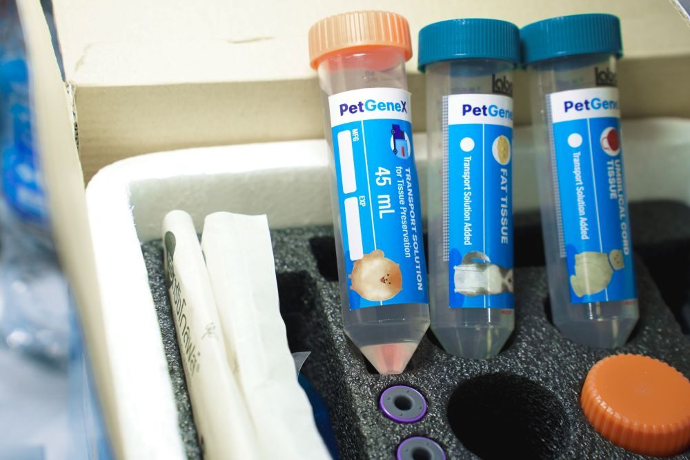  PetgeneX ธนาคารสเต็มเซลล์สำหรับสัตว์เลี้ยง