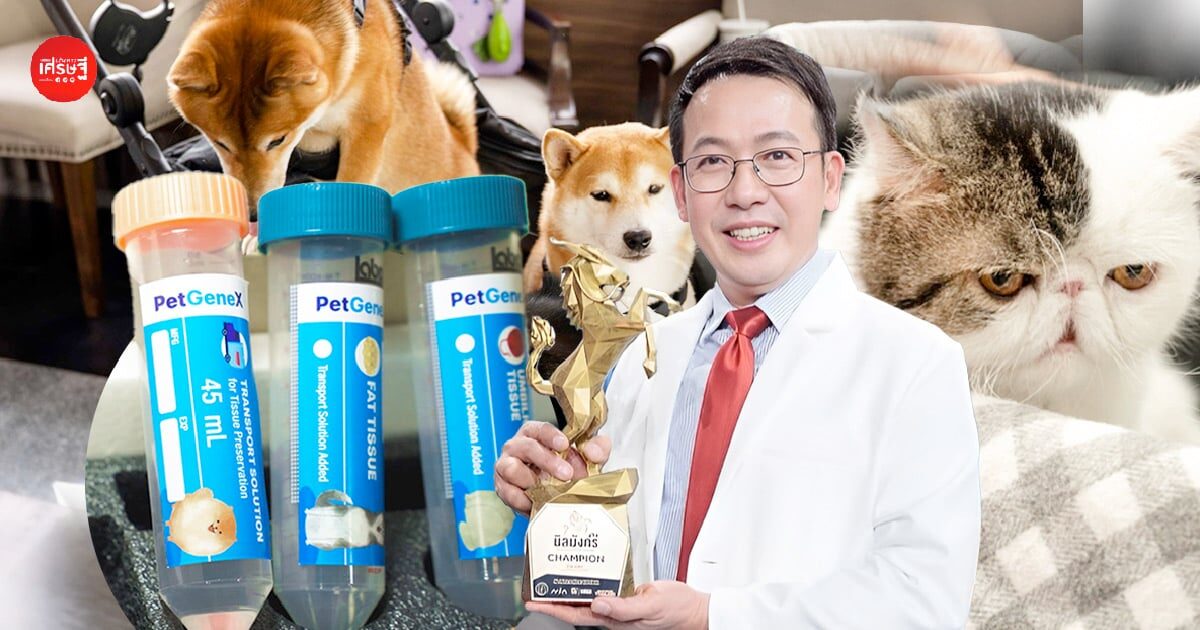 หมอไทยเจ๋ง! พัฒนานวัตกรรมสเต็มเซลล์จากเลือดรายแรกของไทย เพิ่มโอกาสรักษาสัตว์เลี้ยง ที่ป่วยด้วยโรคเสื่อมเรื้อรัง