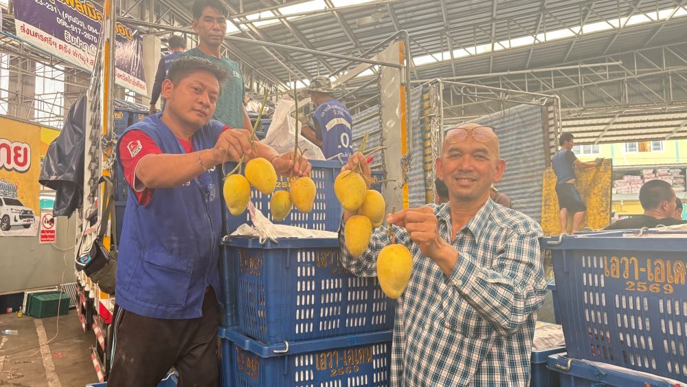 ตลาดสี่มุมเมือง รวมที่สุดของ “มะม่วงไทย” ครบทุกเกรด ขายส่งเริ่มต้นเพียงกิโลกรัมละ 3 บาท