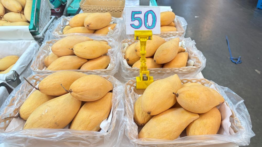ตลาดสี่มุมเมือง รวมที่สุดของ “มะม่วงไทย” ครบทุกเกรด ขายส่งเริ่มต้นเพียงกิโลกรัมละ 3 บาท
