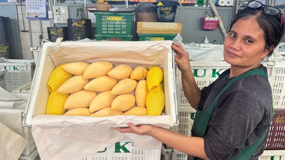 ตลาดสี่มุมเมือง รวมที่สุดของ “มะม่วงไทย” ครบทุกเกรด ขายส่งเริ่มต้นเพียงกิโลกรัมละ 3 บาท