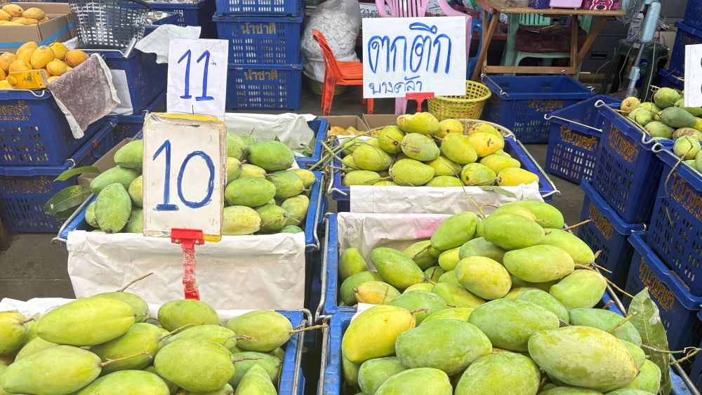 ตลาดสี่มุมเมือง รวมที่สุดของ “มะม่วงไทย” ครบทุกเกรด ขายส่งเริ่มต้นเพียงกิโลกรัมละ 3 บาท