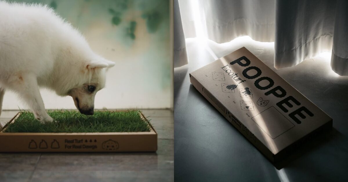แบรนด์ Poopee