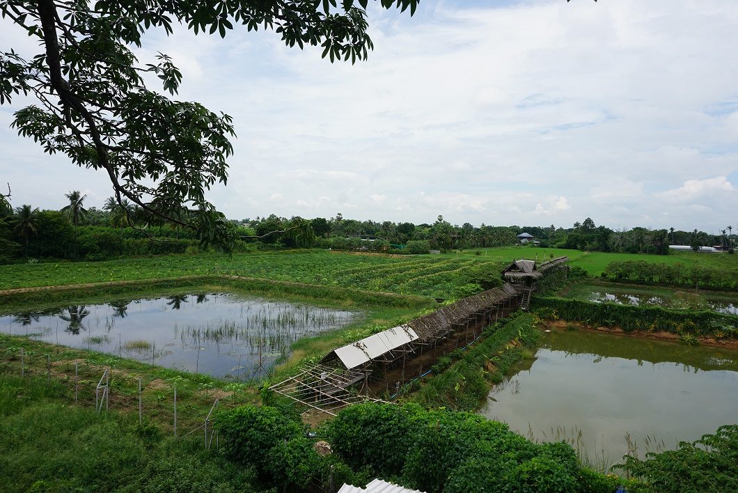 สวนเกษตร