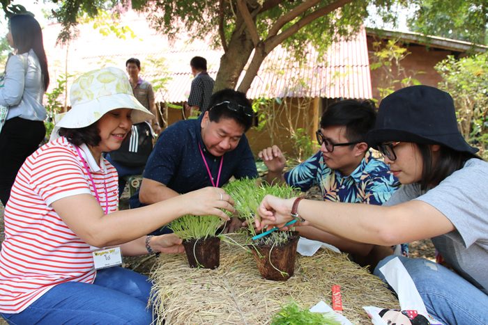 การจัดกิจกรรมและเวิร์กช็อปออนไลน์สร้างชุมชน