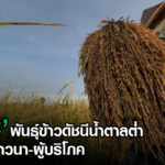 กข 43