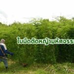 ใบมีดตัดหญ้ามหัศจรรย์ ตัดง่าย ไม่เปลืองน้ำมัน