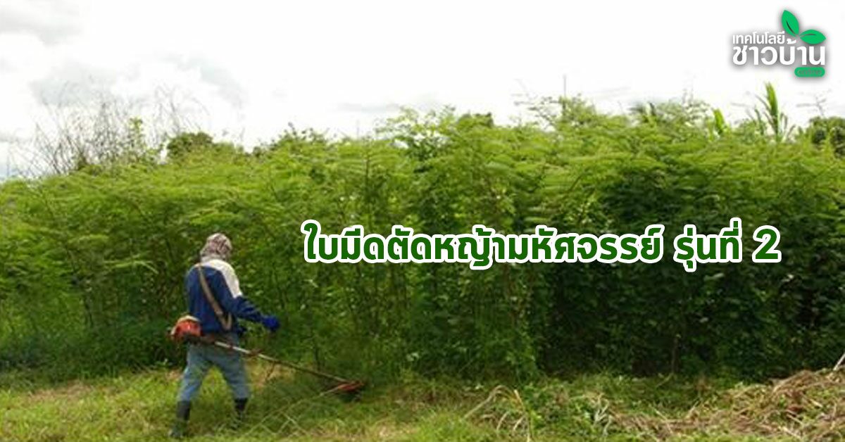 ใบมีดตัดหญ้ามหัศจรรย์ ตัดง่าย ไม่เปลืองน้ำมัน