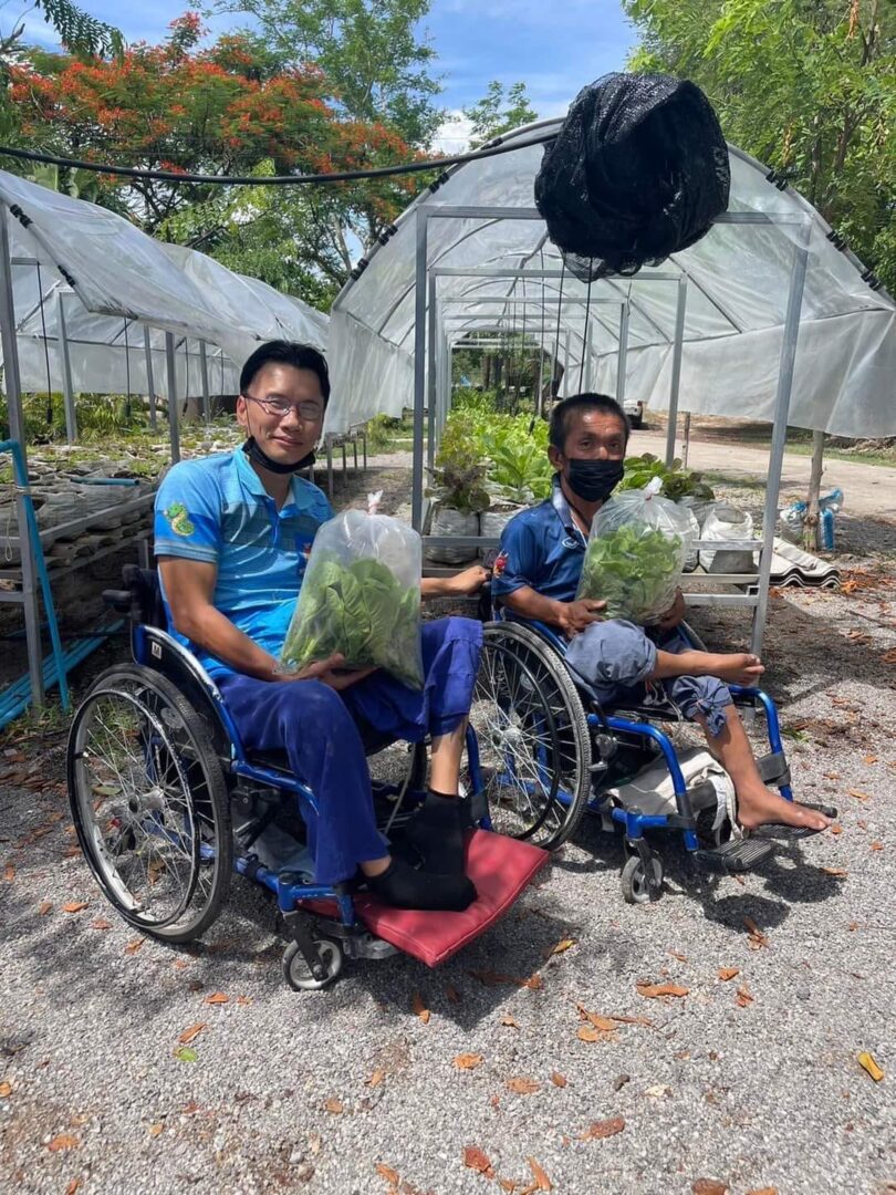 ปลูกผักคนพิการ โดยใช้เทคโนโลยีเกษตรอัจฉริยะควบคุมการให้น้ำอัตโนมัติด้วย IoT