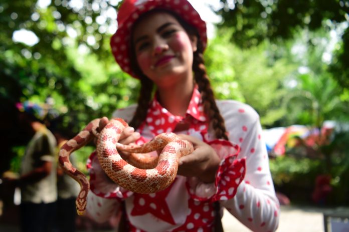 A performer in costume poses with a snake during a rally to celebrate female hippopotamus Mali's 50th birthday at the Dusit Zoo in Bangkok on September 23, 2016. / AFP PHOTO / MUNIR UZ ZAMAN