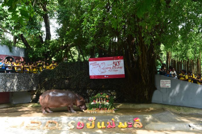 Children gather around the female hippopotamus Mali as it feeds on her birthday cake made of vegetables and fruit during a party to celebrates his 50th birthday at the Dusit Zoo in Bangkok on September 23, 2016. / AFP PHOTO / MUNIR UZ ZAMAN