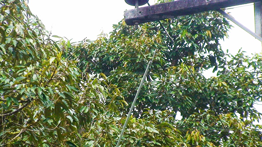 d7
