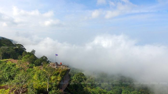 DCIM100MEDIADJI_0077.JPG
