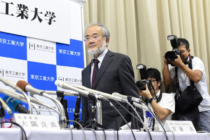 Yoshinori Ohsumi / AFP PHOTO / Toru YAMANAKA