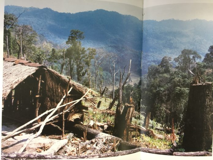 ป่านี้มีโรค เมื่อปี 2525 ที่หมู่บ้านหนองหอย อ.แม่ริม จ.เชียงใหม่ ขณะที่ทรงพระราชดำเนินเข้าไปในป่าบนดอยสูง และทรงพบต้นไม้ถูกตัดระเกะระกะ 