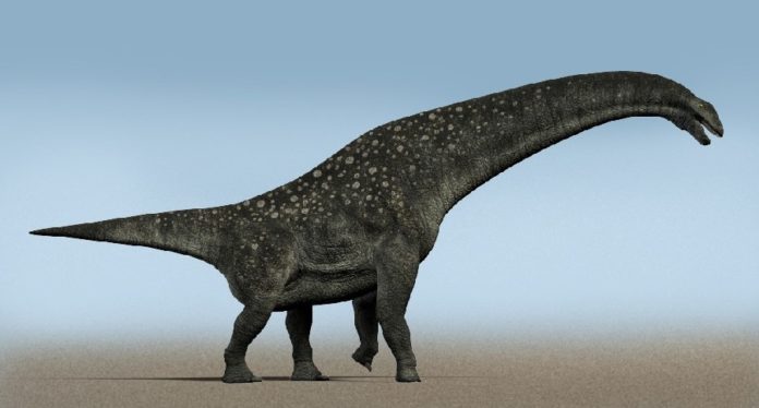 titanosaurus1