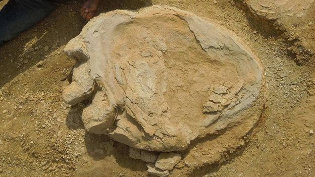 titanosaurus3