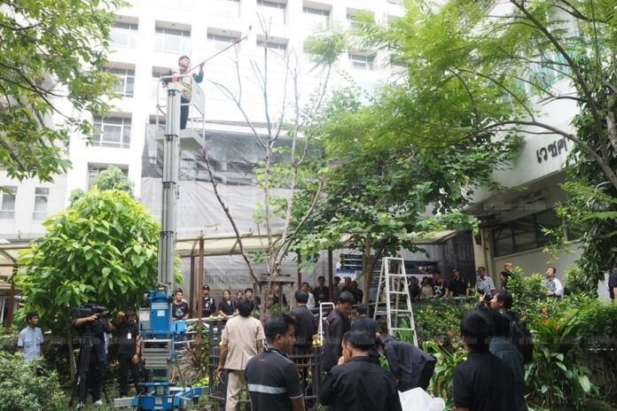 tree07