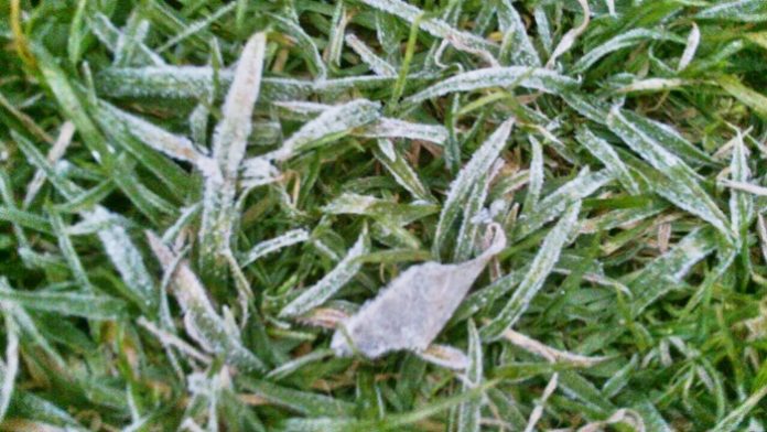 201612210851149-20021028190509