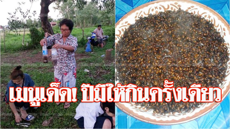 à¸Šà¸²à¸§à¸š à¸²à¸™à¹à¸« à¹€à¸ à¸²à¸£ à¸ˆ à¸šà¹à¸¡à¸‡à¸¡ à¸™à¸—à¸³à¹€à¸¡à¸™ à¹€à¸