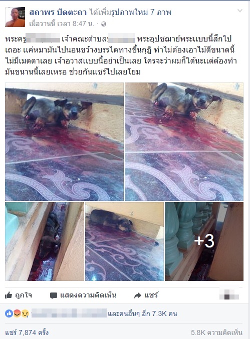 แชร์ว่อน เจ้าคณะตำบลตีหมาเลือดนองสุดเวทนา โทษฐานนอนขวางทางขึ้นกุฏิ ... แชร์ว่อน เจ้าคณะตำบลตีหมาเลือดนองสุดเวทนา โทษฐานนอนขวางทางขึ้นกุฏิ ...