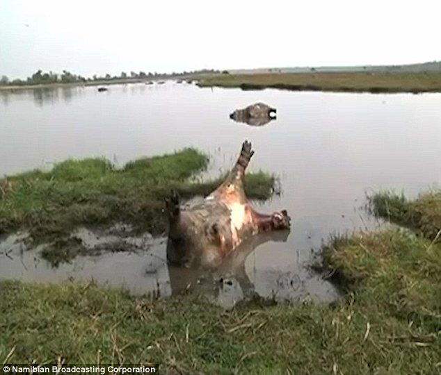 My Image 48