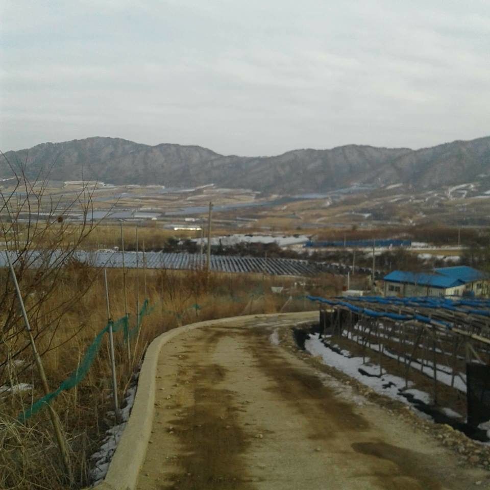 My Image 14