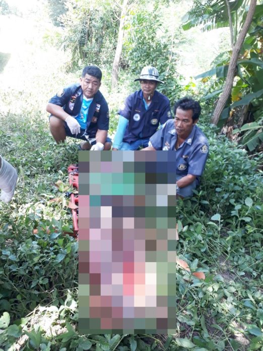 เปลญวน