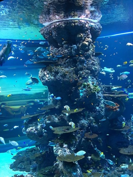 ชวนสัมผัสประสบการณ์ กับ ‘พิพิธภัณฑ์เดินเรือสมุทร มารีไทม์ เอ็กเปอเรนเชียล มิวเซียม’