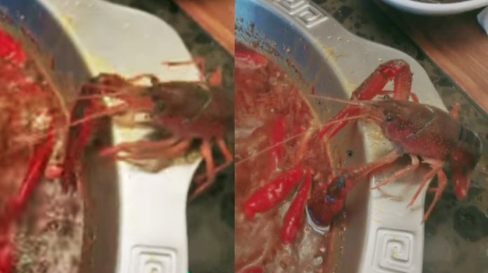 กุ้งหักก้ามทิ้ง