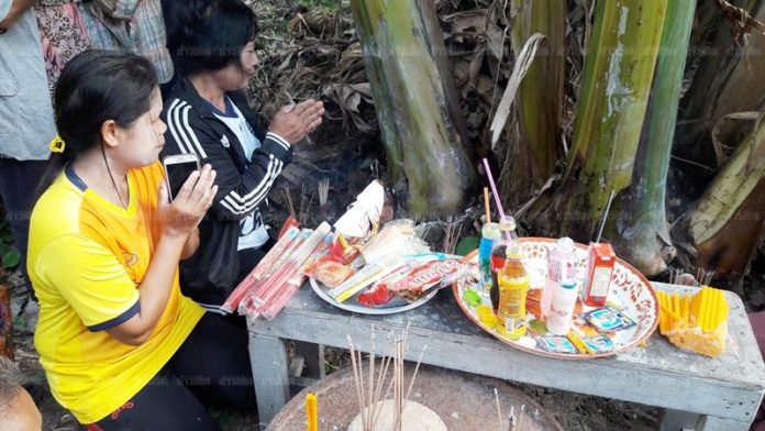 ชาวบ้านแห่พิสูจน์ต้นกล้วยออกหน่อเป็นรูปดอกบัว