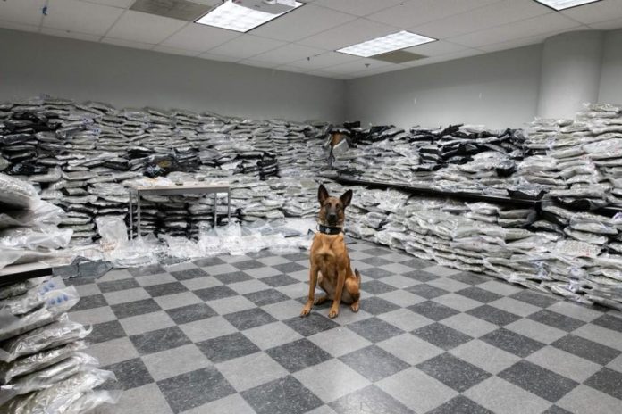แกะรอยขั้นเทพ! ตูบฮีโร่จับกัญชาล็อตใหญ่ มูลค่ากว่า 300 ล้านบาท