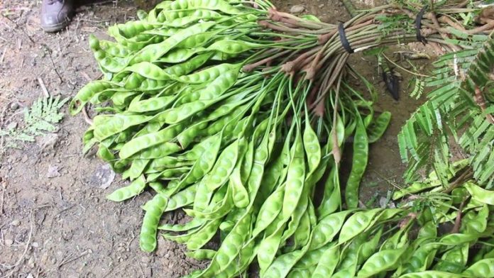 สะตอที่ผู้ตายเก็ยไว้ ก่อนเสียชีวิต