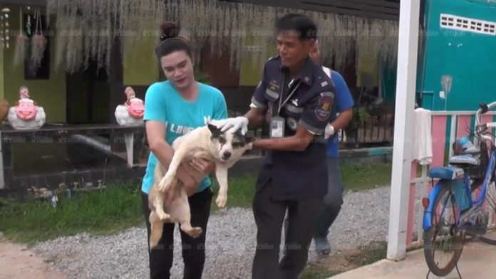 เจ้าหน้าที่รับตัวเจ้าสุนัขผู้โชคร้ายไปรักษา