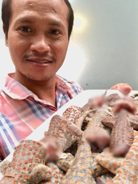 หนุ่มใหญ่ เปิบพิศดาร! จับตุ๊กแกหั่น-ต้ม
