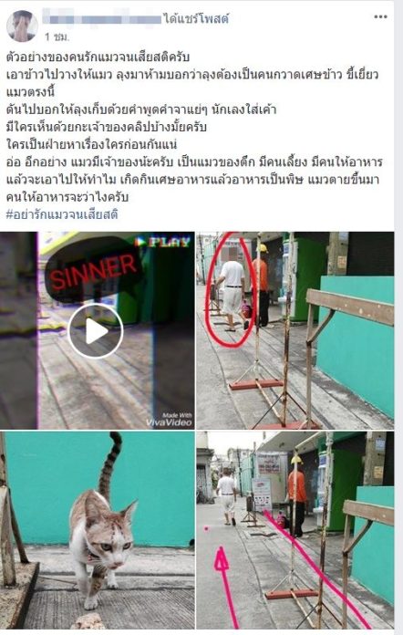 หนุ่มให้ข้าวแมวจร ลั่นจะกระทืบคนแก่ 