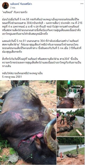 เฟซบุ๊ก "บดินทร์ จันทศรีคำ" ได้โพสต์ลงกลุ่มชมรมฅนรักสัตว์-ป่า