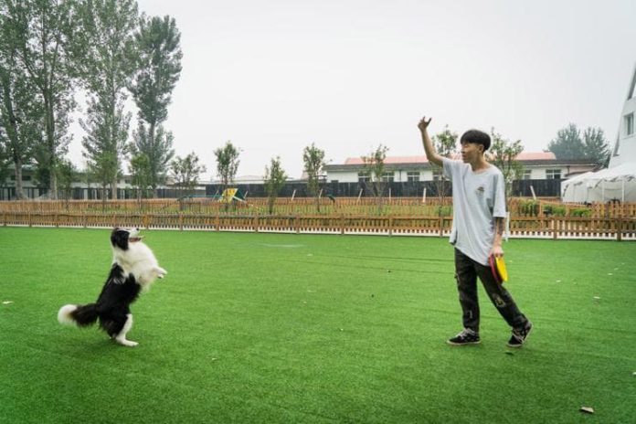หนุ่มจีนพลิกชีวิต