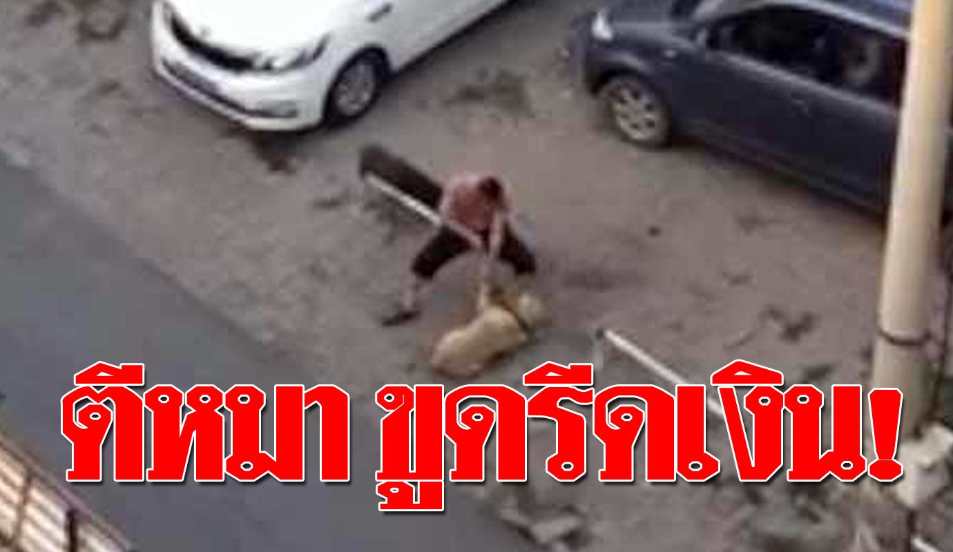 ขูดรีด เงินชาวบ้าน ชายตีหมา ใช้ความสงสารทำมาหากิน นี่หรือจิตใจคน ขูดรีด เงินชาวบ้าน ชายตีหมา ใช้ความสงสารทำมาหากิน นี่หรือจิตใจคน