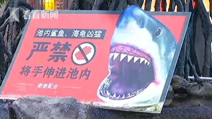 ถูกฉลามกัดแขนเหวอะ