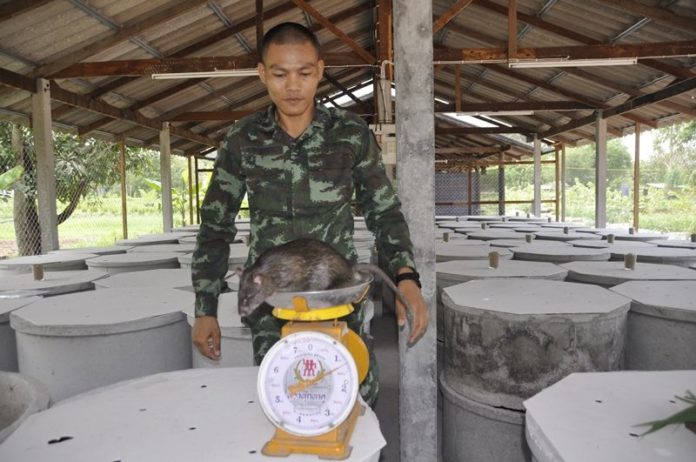 ทหาร