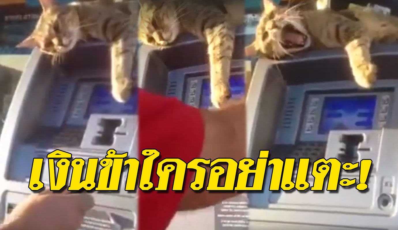 à¹„à¸¡ à¹ƒà¸« à¸à¸